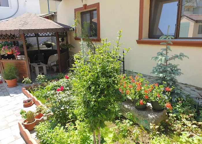 Kogalniceanu House Case de vacanță Constanţa